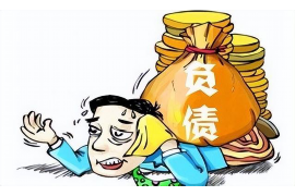 兰西贷款清欠服务